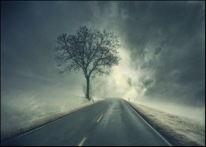 kontrollu cilginliklar medya ve intihar