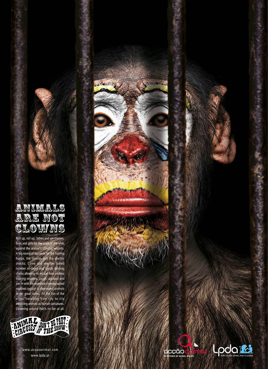 Animals Are Not Clowns - 33 Powerful Animal Ad Campaigns That Tell The Uncomfortable Truth Animals Are Not Clowns - 33 Powerful Animal Ad Campaigns That Tell The Uncomfortable Truth