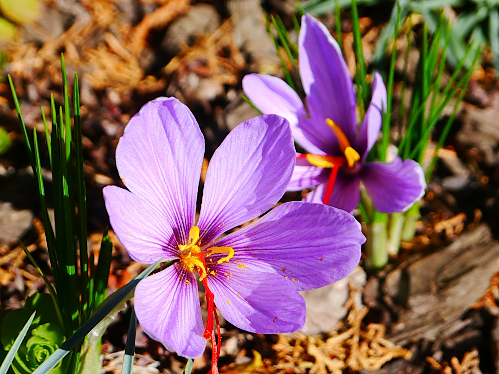 Mikor az íz és illat találkozik 3