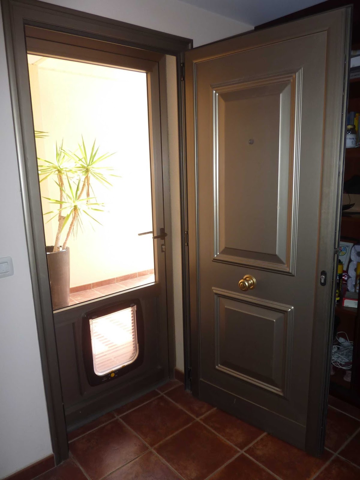 Aluxsa Tenerife: Puerta exterior de aluminio corta vientos con gatera