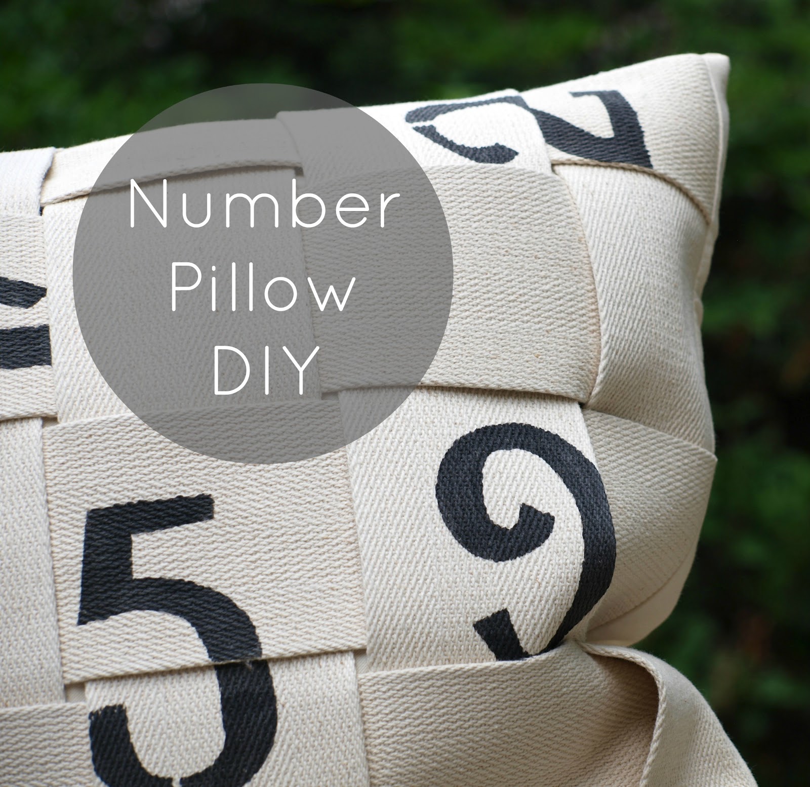 Elemental Carbon Number Pillow // DIY