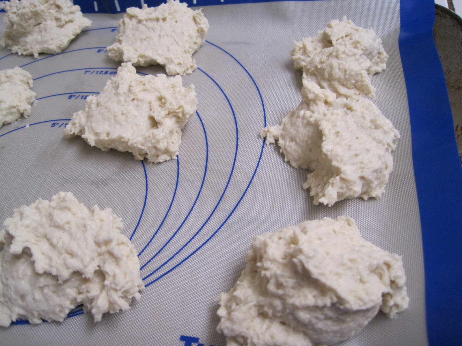 Recipe Tips and Hints Mayonnaise Biscuits (non dairy)