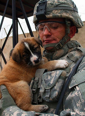 Soldiers with Pets Seen On www.coolpicturegallery.us