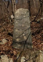 the_phallus_of_malice