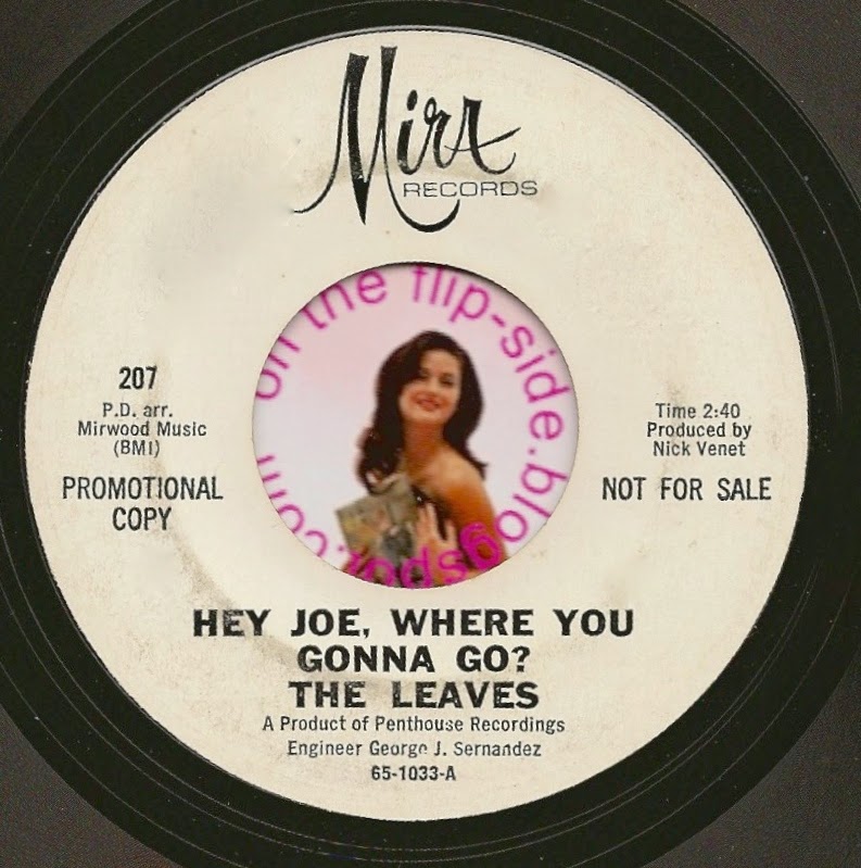 ON THE FLIPSIDE The Leaves Hey Joe, Where Are You Gonna Go?