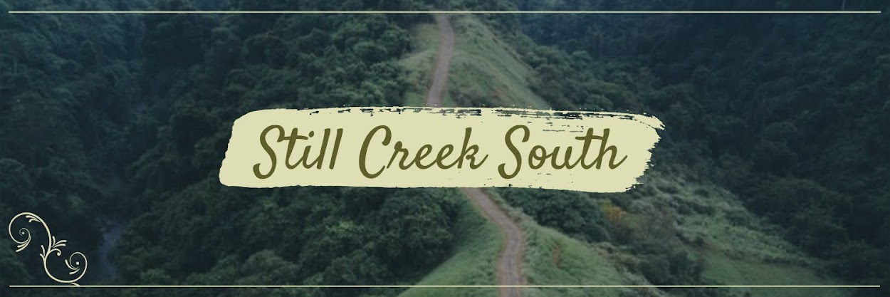 Still Creek South