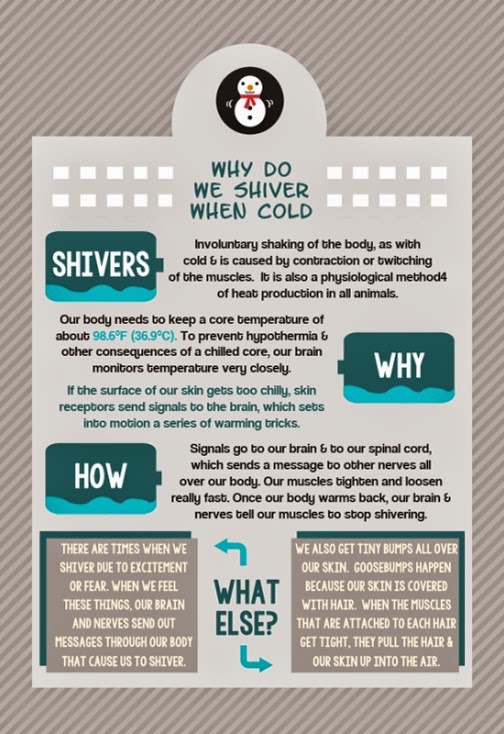 Creating Wonder the Petrosains Blog Why Do We Shiver When Cold?
