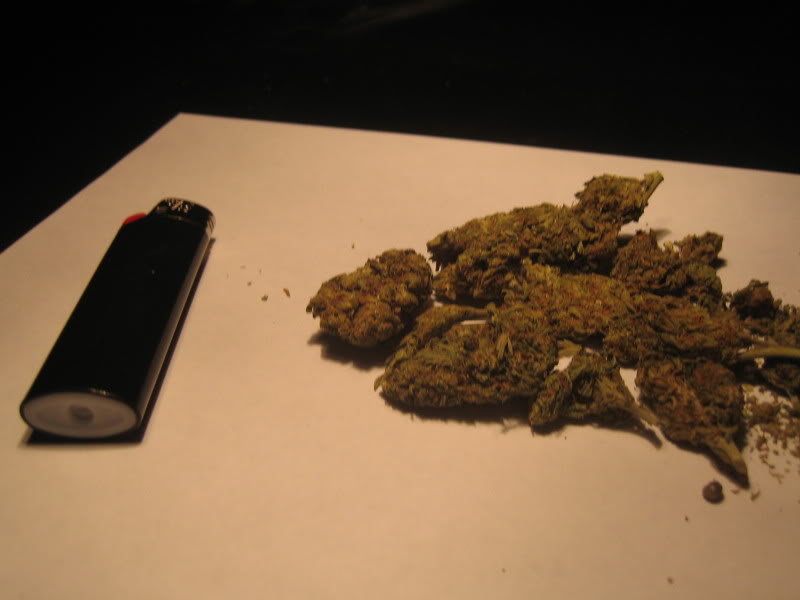 Quad Of Weed Weight Loss