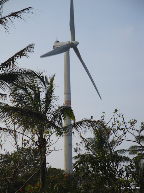 Wind Mill Farm Ramakalmedu