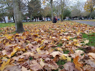 fall leaves milton park portsmouth