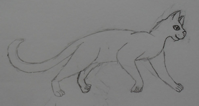 Calico Cats: Drawing Kitties!