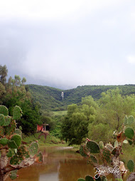 EL SALTO