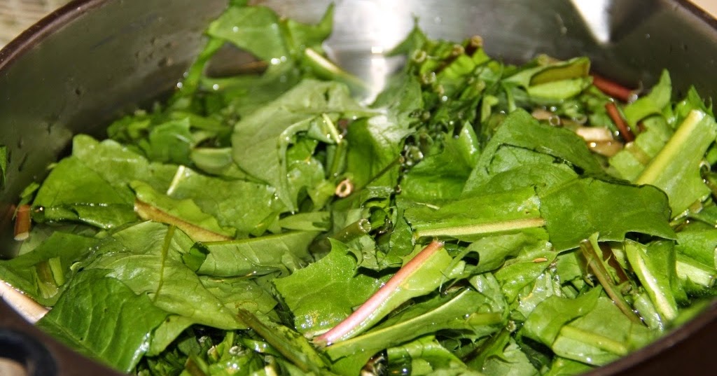 The Homestead Laboratory Freezing Dandelions