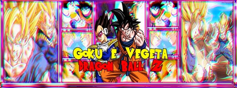 Goku e Vegeta - Dragon Ball Z ™ 