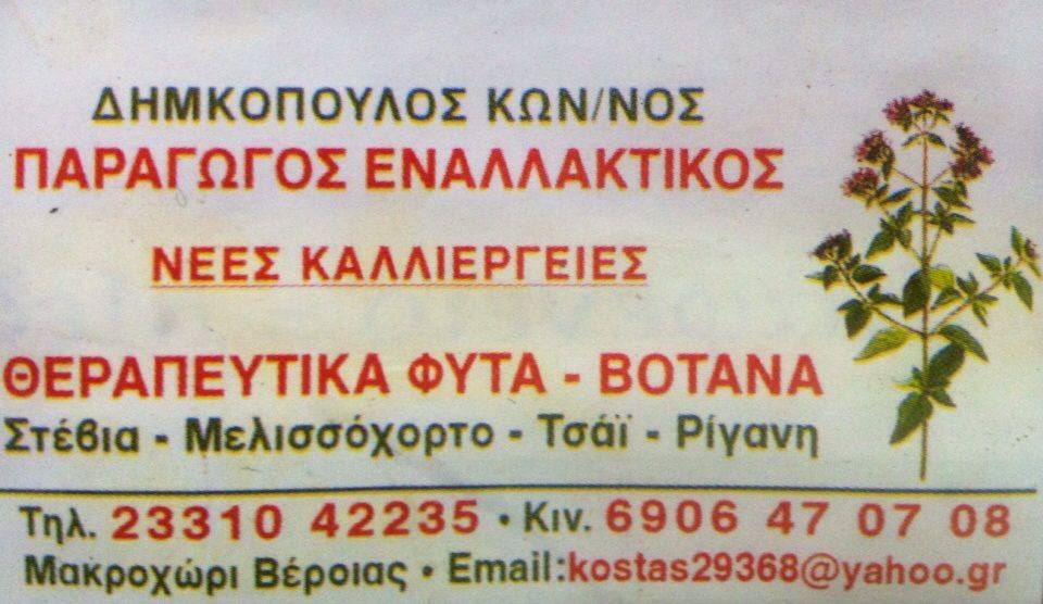 ΚΩΝ/ΝΟΣ ΔΗΜΚΟΠΟΥΛΟΣ