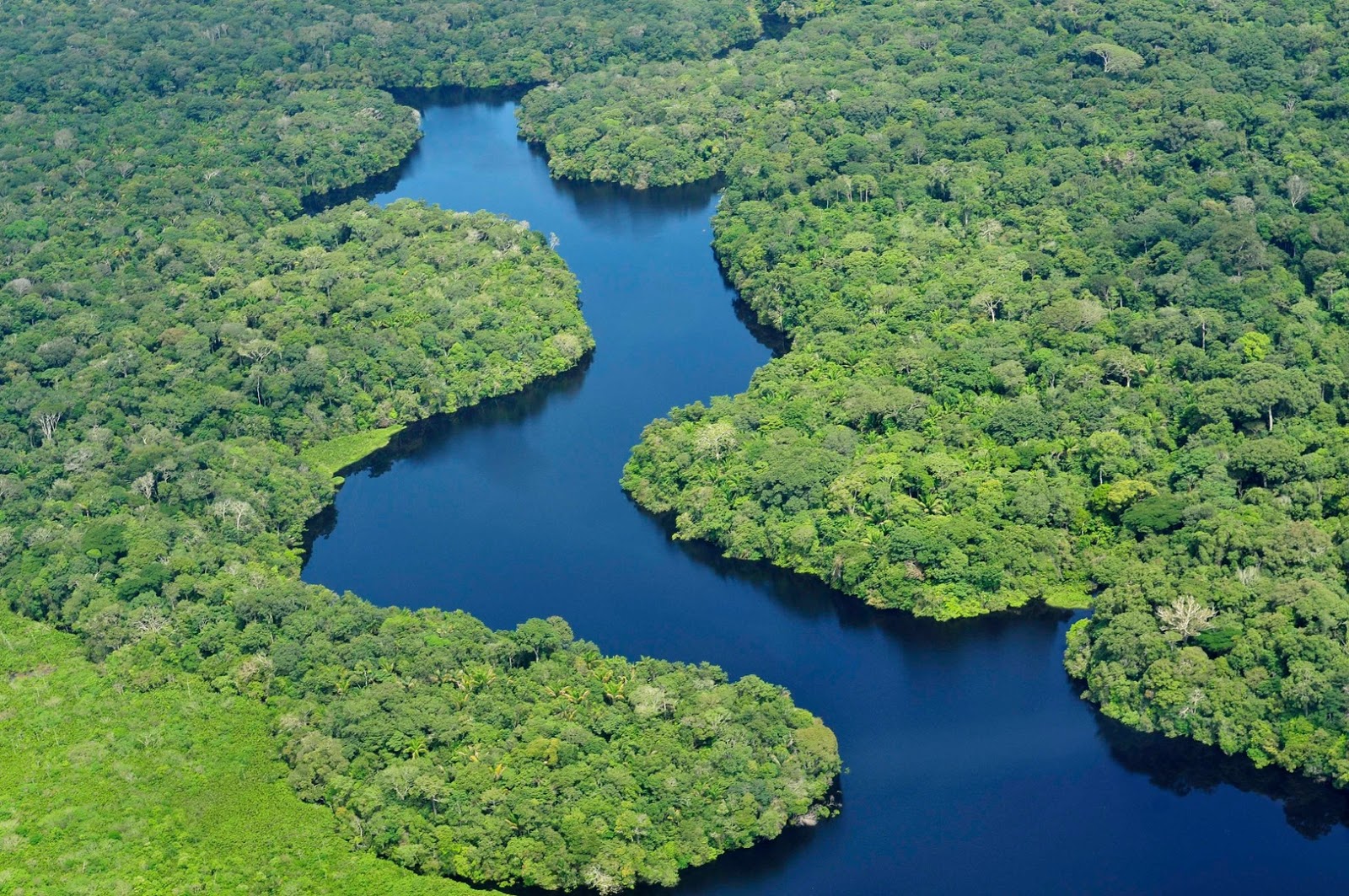 The Amazon rainforest | Where is Brazil - All about Brazil