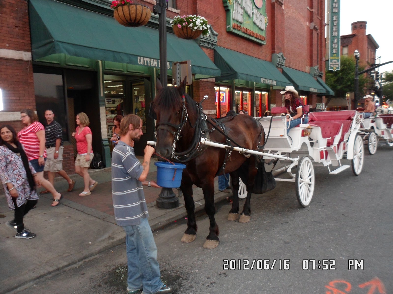 Sugar Creek Carriages Horse Carriage Tours Tours Nashville