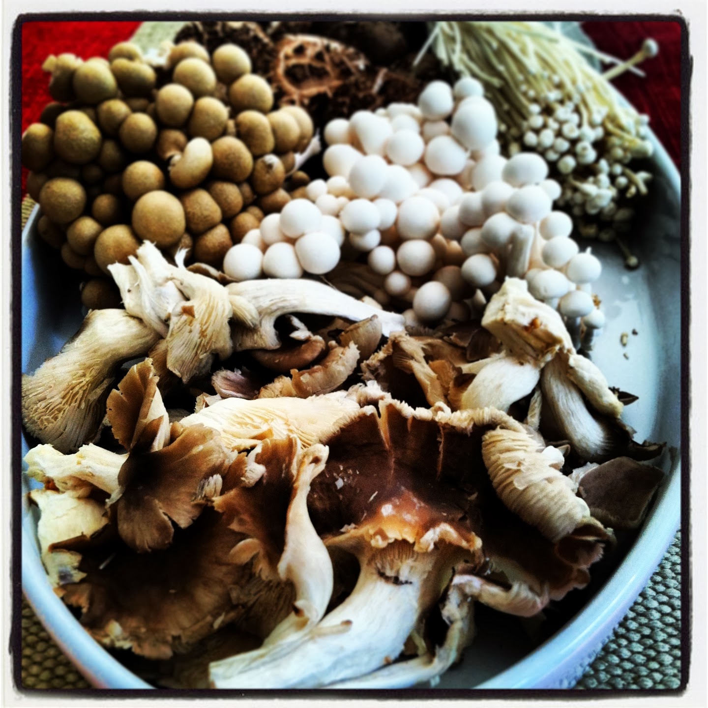 Ruby Poptart: Asian Inspired Mushroom Soup (Vegetarian / can be Vegan)