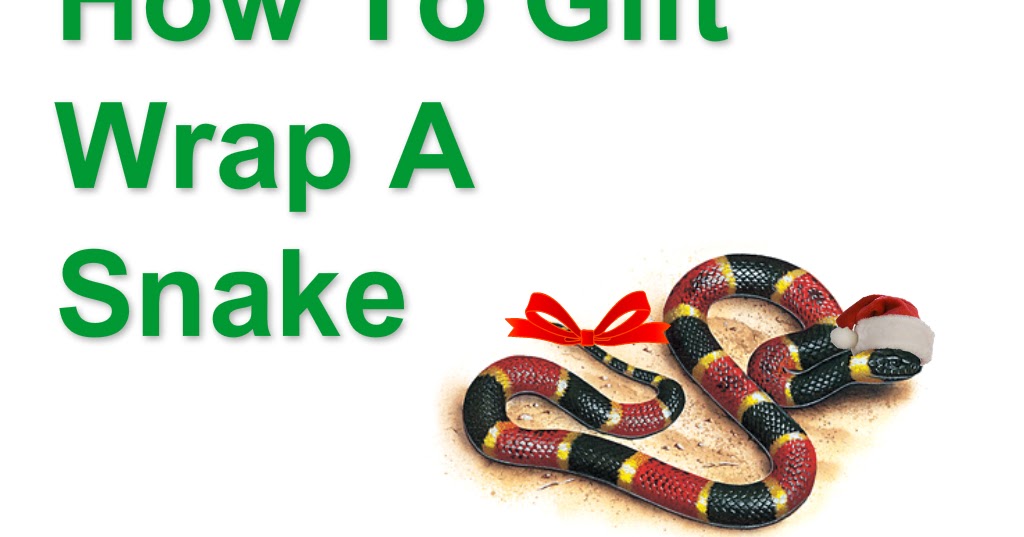 How To Gift Wrap A Snake