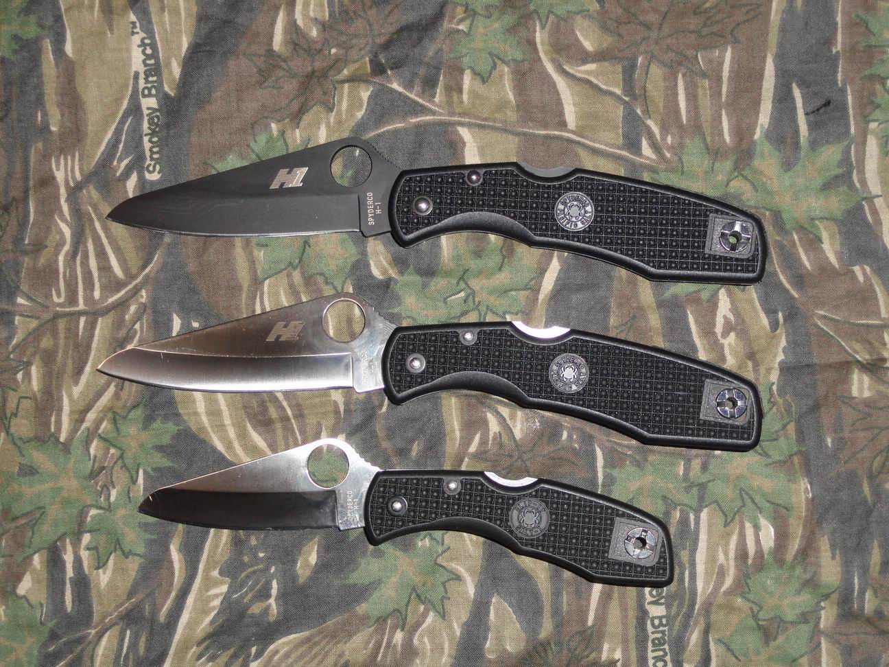 Making The Cut The Spyderco Salt Series A RustProof Knife That Holds an Edge