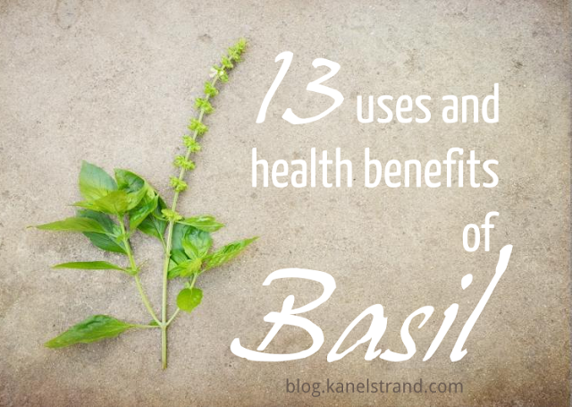 13 uses and health benefits of basil you should know about