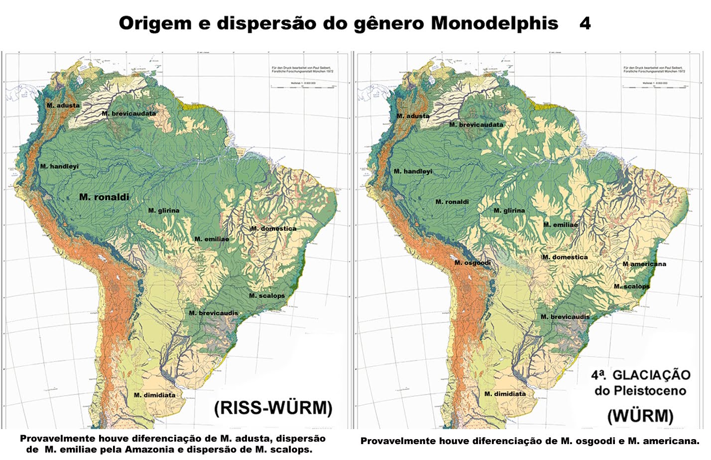 Origem e dispersão do gênero Monodelphis 4