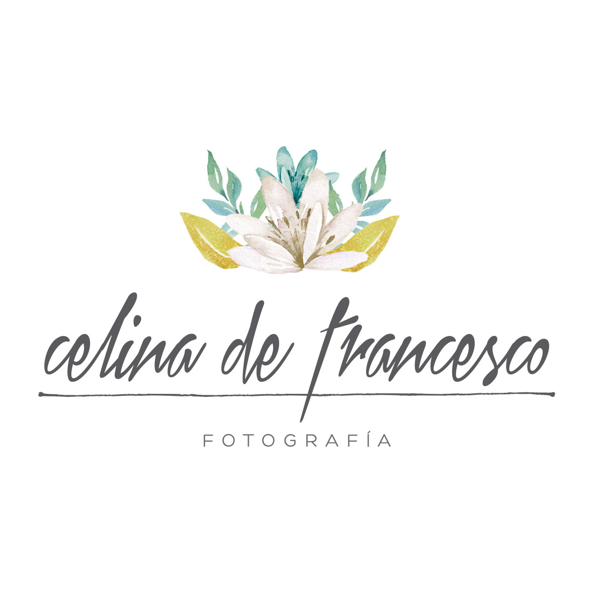 Trabajos fotográficos