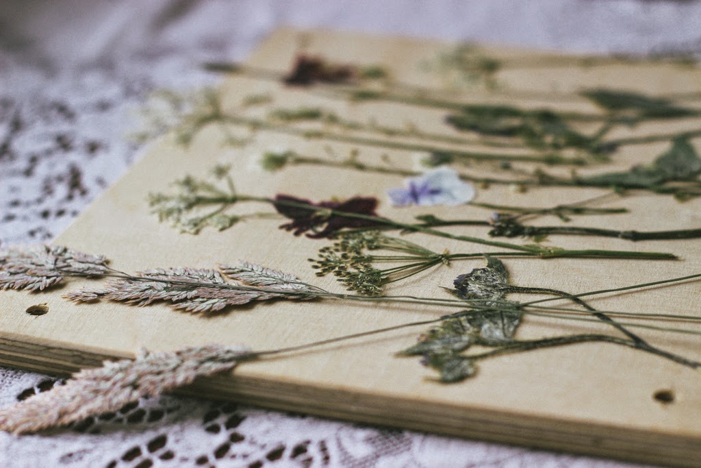Get Diy Pressed Flowers In Glass Pics