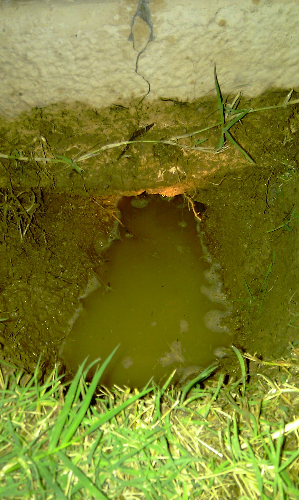 The Gopher Getters Down The Gopher Hole What's This Pile Of Dirt??