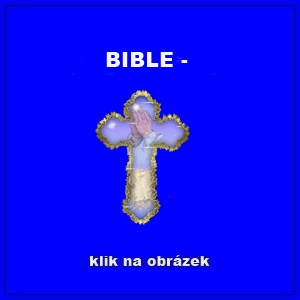 BIBLE -