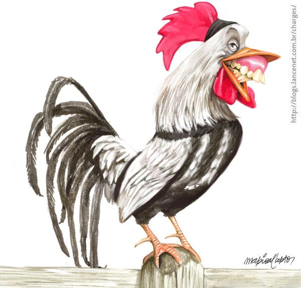 galo depena urubu galo depena urubu