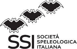 SSI