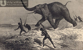 Manusia Pemangsa No.1, Curhatan Gajah Berburu+gajah+-+blog+unik+banget