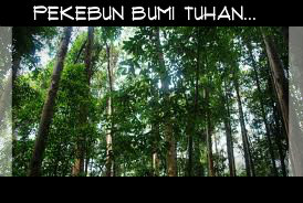 Pekebun Bumi Tuhan...