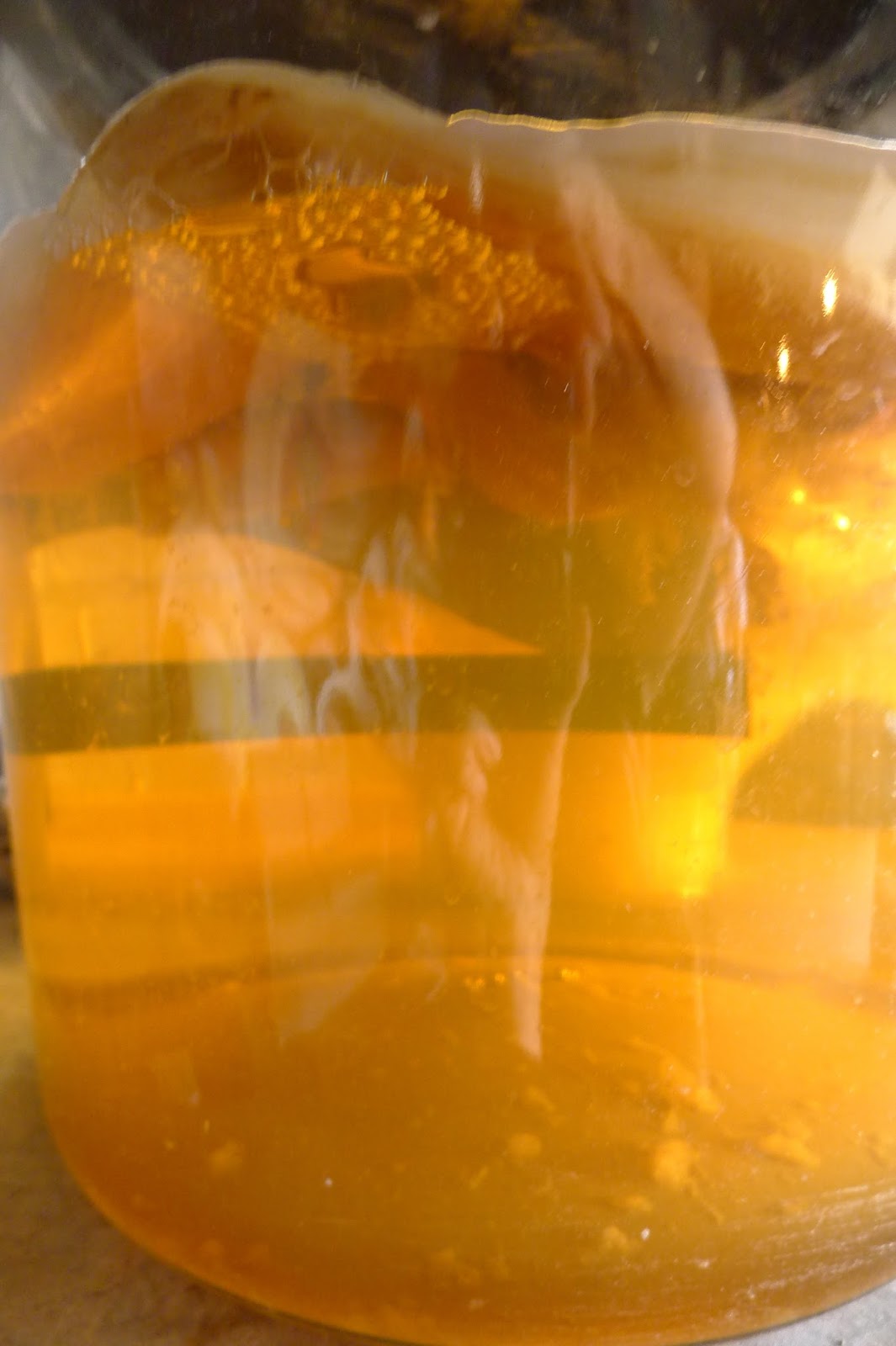 Less Noise, More Green Local Kombucha on tap at the Urban Farm Fermentory