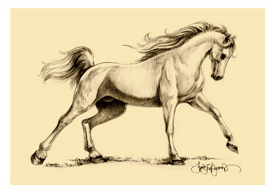Arabian Horse Art