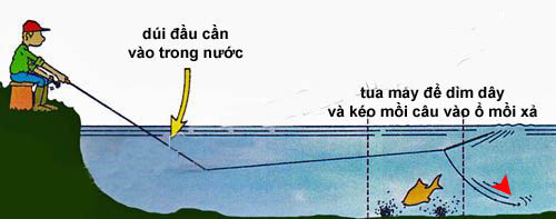 Các thao tác cơ bản khi câu waggler Các thao tác cơ bản khi câu waggler