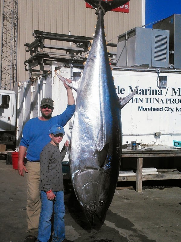 International Fishing News US caught a 785 pound bluefin tuna in