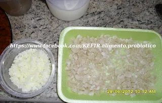 Kefir Alimento Probiótico