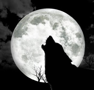 Howl Wolf