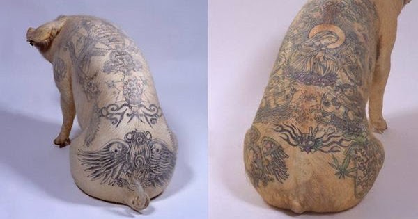 Piggy Tattoo ~ Random Humours