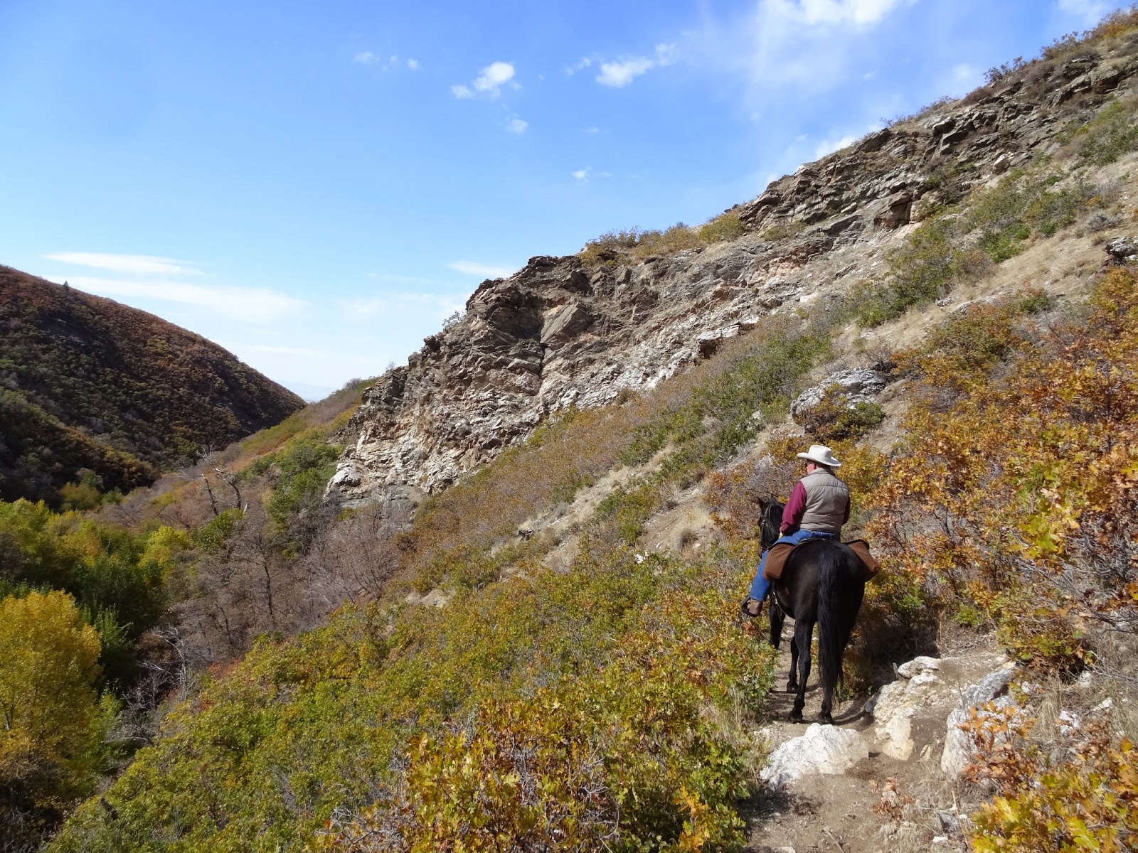 Dream Packer Trail Adventures Holbrook Canyon, Bountiful, Utah