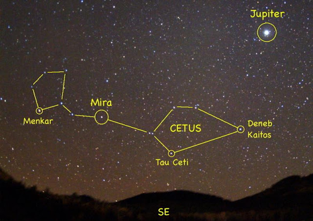Resultado de imagen para constelaciÃ³n de cetus