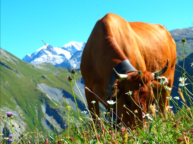 rencontre agriculteurs