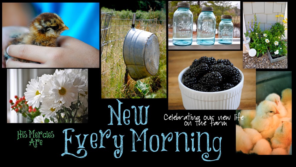 New Every Morning Bunny Hutch 'n Such