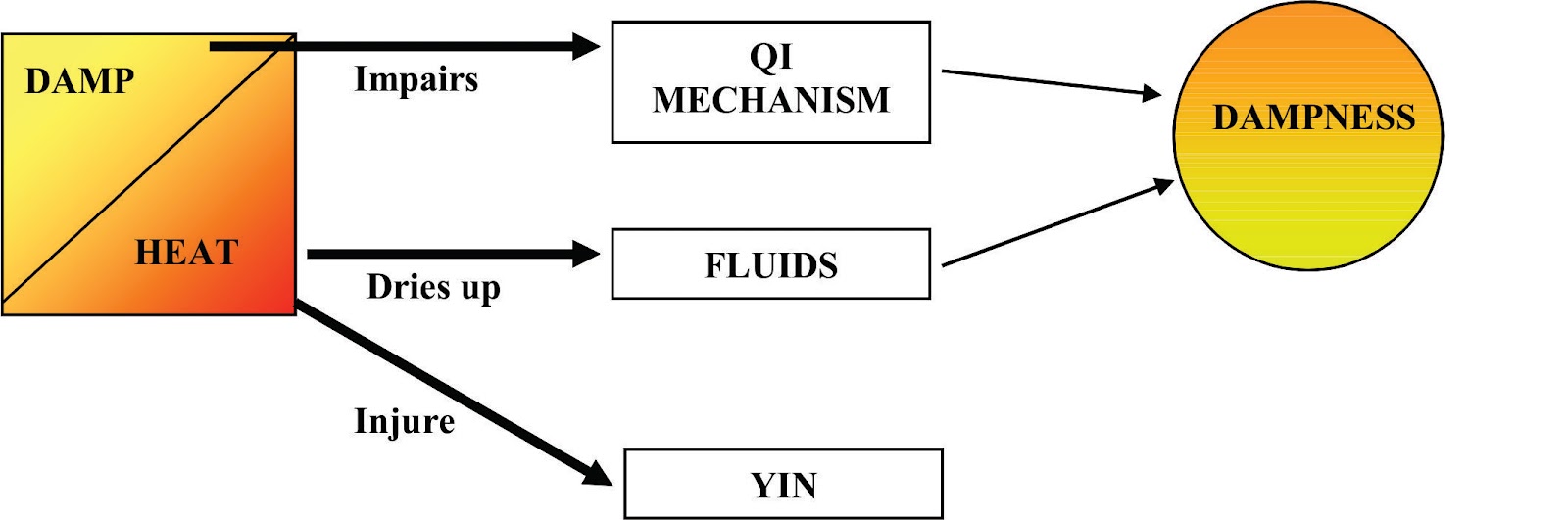 Maciocia Online DAMPHEAT