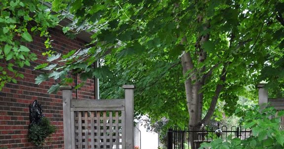 Side Yard Ideas | Totaly Outdoors