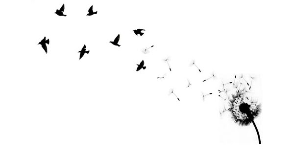 50 Things I Want. Right Now, And Later Too - Ze Sequel