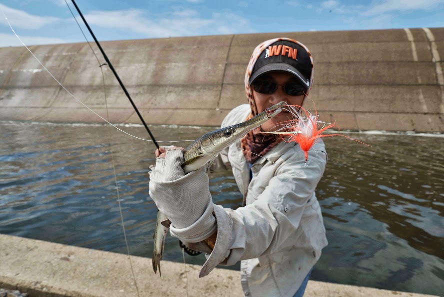 Gar and Redhorse - Ontario Fishing Reports - Ontario Fishing Forums