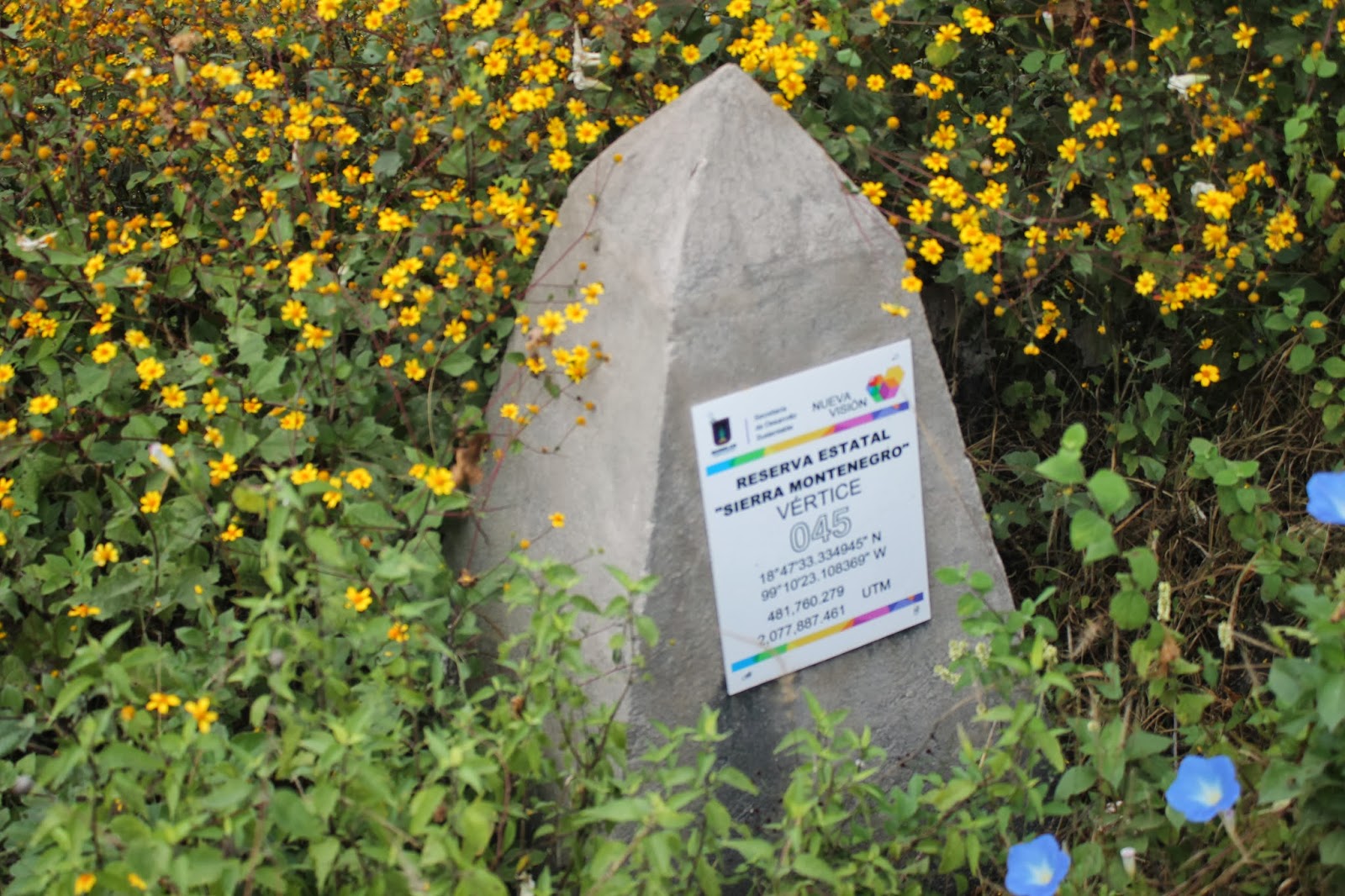 DESARROLLO SUSTENTABLE Recorrido en la Reserva Estatal Sierra Monte Negro